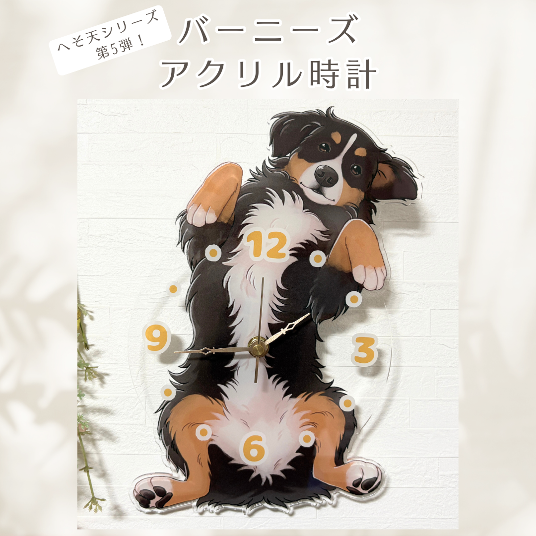 バーニーズアクリル時計【送料無料】 | GoldenRabbit